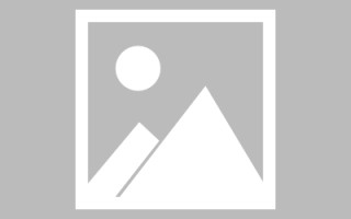 枣庄网页优化和设计人才（网站优化职位）